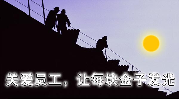 数据文化